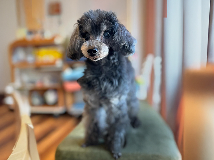 丁寧なカウンセリングと健康チェックで安心