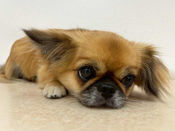 04. 健康チェック